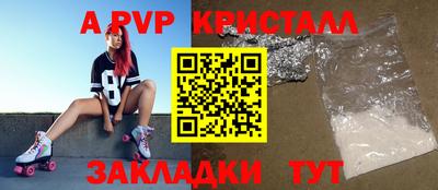 a pvp Кингисепп
