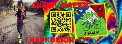 a pvp Кингисепп