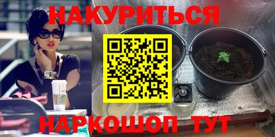 кокс Кимры