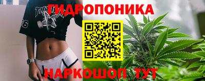 a pvp Кингисепп