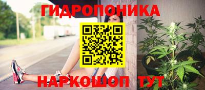 трава Кинель