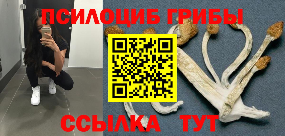 Галлюциногенные грибы Psilocybe  Галлюциногенные грибы прущие грибы  Вход с VPN  Краснокамск 